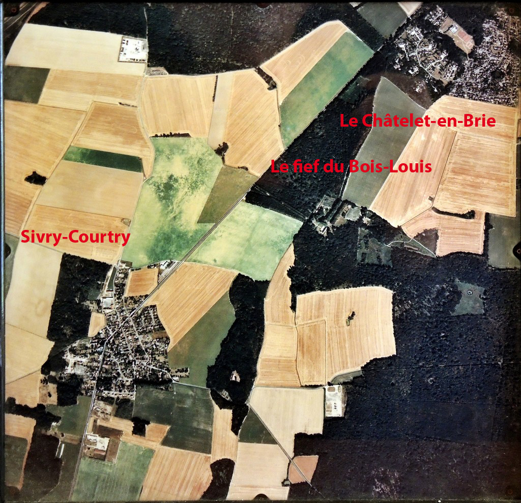 Vue aérienne du châtelet-en-Brie, de Sivry-Courtry et du Bois Louis. (Photo du Bois Louis)